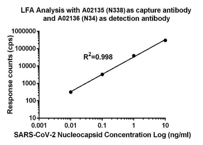 MonoRab™ SARS-CoV-2 Nucleocapsid Antibody (N34), MAb, Rabbit